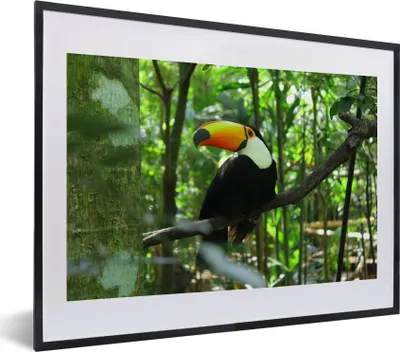 Produktbild von MuchoWow® MuchoWow® Gerahmtes Poster Tukan im Baum 40x30 cm - Poster mit zchwarzem Bilderrahmen - Bilderrahmen - Poster im Rahmen