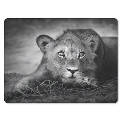 Produktbild von MuchoWow® Mauspad Mousepad Wildtiere - Löwe - Natur - Schwarz - Weiß 23x19 cm - Mousepads - Maus Mat - Pad - Mausunterlage - Schreibtischunterlage - Mauspad
