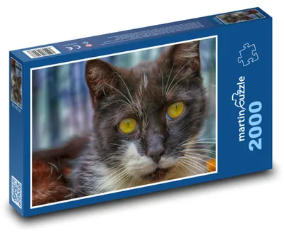 Obrázek produktu pro Puzzle 2000 Krásná černobílá kočka - martinpuzzle