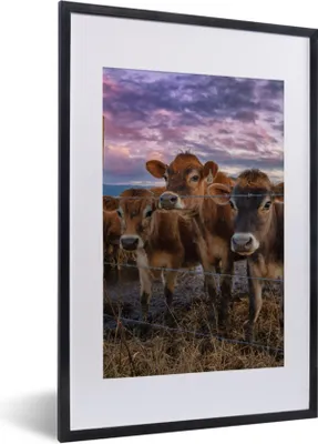 Produktbild von MuchoWow® Gerahmtes Poster Kuh - Tiere - Kühe 40x60 cm - Poster mit Schwarzem Bilderrahmen Wandposter Rahmen Foto Bilder - Poster in Rahmen