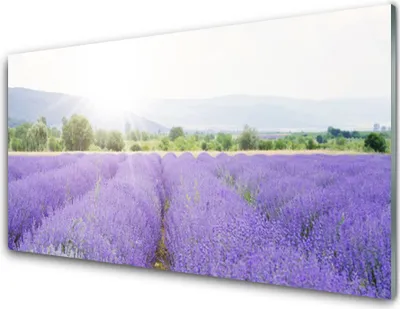 Produktbild von Küchenrückwand aus Glas 100x50cm Spritzschutz Wiese Blumen Natur