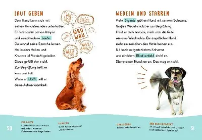 Produktbild von Dein Lesestart - Hunde