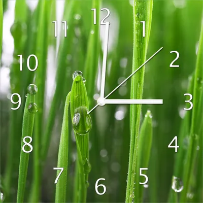Produktbild von Wallario Design Wanduhr Wassertropfen an Grashalmen aus Echtglas, Größe 30 x 30 cm