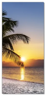 Produktbild von Wallario selbstklebende Türtapete 100 x 220 cm - Palme am Strand - Sonnenuntergang über dem Meer - Abwischbar, rückstandsfrei zu entfernen