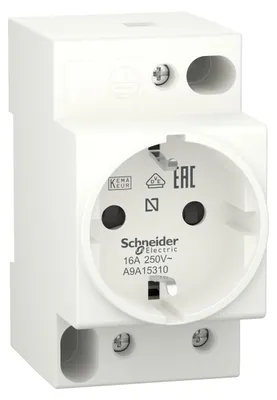 Immagine prodotto di Presa Schneider Electric A9A15310