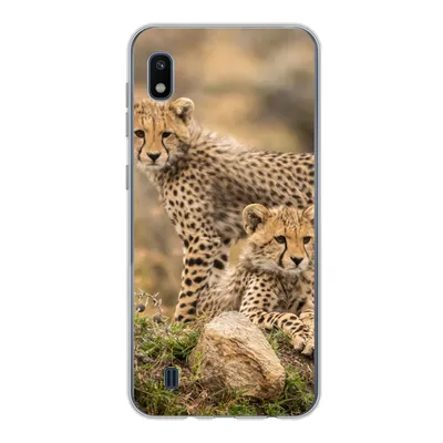 Produktbild von MuchoWow® Handyhülle Schutzhülle Hülle für Samsung Galaxy A10 Leopard - Jungtier - Natur Silikon Softcase Handy Hülle - Schutzhülle