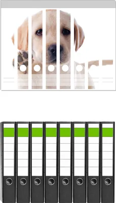 Produktbild von Wallario 8 Stück schmale Ordner inkl. Klebeetiketten mit Motive Süßer Labrador-Welpe sagt Hallo -  Set mit Rückenschildern / Ordnerrücken Stickern