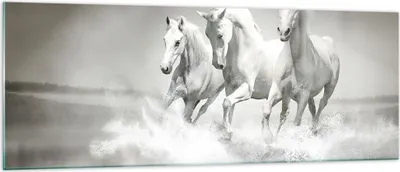 Produktbild von Bilder auf glas - Bauernhof pferde galopp freiheit - 140x50cm - Glasbilder - Wandbilder - Kunstdruck - zum Aufhängen bereit - Wanddekoration aus Glas - Glas Bilder - Wandbild auf Glas - GAB140x50-2389