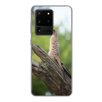Produktbild von MuchoWow® Handyhülle Schutzhülle Hülle für Samsung Galaxy S20 Ultra Erdmännchen - Ast - Baum Silikon Softcase Handy Hülle - Karteninhaber
