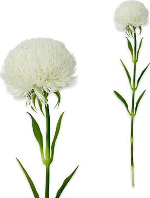 Produktbild von Chrysantheme Zweig Echt-Optik 51 cm Weiß