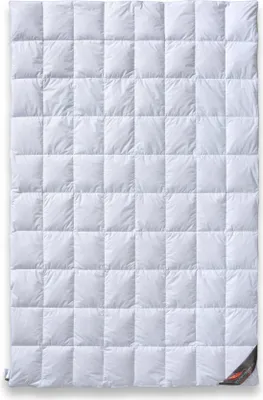 Produktbild von daunen-federn.de Sommer Bettdecke 135x200 Premium: 100% neue Daunen Klasse 1, atmungsaktiv, 8x10 Karo Stepp