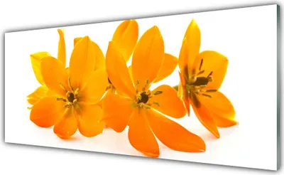 Produktbild von Glasbilder 125x50 Wandbild Druck auf Glas Blumen Pflanzen