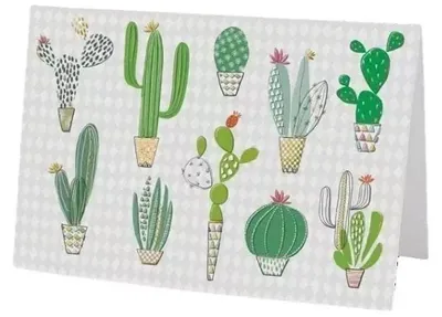 Imagen del producto de Tarjeta de felicitación B6 con sobre MO7475, diseño de cactus Turnowsky