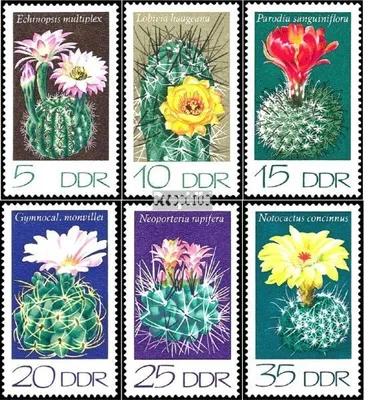 Produktbild von Briefmarken DDR 1974 Mi 1922-1927 (kompl.Ausgabe) gestempelt Kakteen (II)