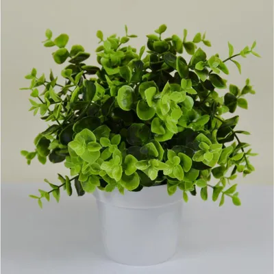 Produktbild von 12 Stück künstliche Pflanze im Kunststofftopf 22cm Dekoration Pflanzen Set