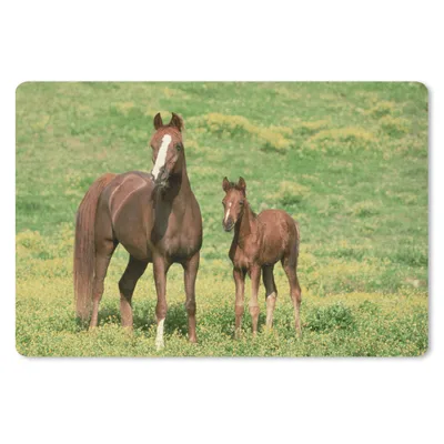 Produktbild von MuchoWow® Schreibtischunterlage Pferde - Gras - Braun 60x40 cm - XXL Mauspad - Großes Mauspad
