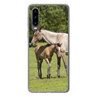 Produktbild von MuchoWow® Handyhülle Schutzhülle Hülle für Huawei P30 Pferde - Gras - Schatten Silikon Softcase Handy Hülle - Kartenbesitzer