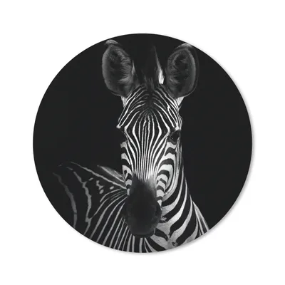 Produktbild von MuchoWow® Mauspad Mousepad Zebra - Schwarz - Weiß - Tiere 40x40 cm - Mousepads - Maus Mat - Pad - Mausunterlage - Schreibtisch Accessoires