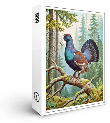 Image de Puzzle Raxxa Premium « Grand tétras – oiseau d'Europe », 1 000 pièces