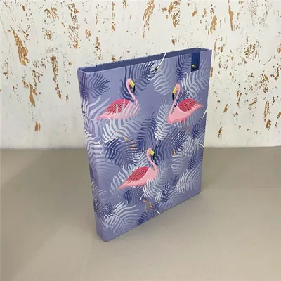 Image de Pochette A4 à élastique Moderno avec des flamants roses