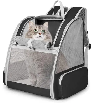 Image de Omgoods : Transport pour petits et moyens animaux de compagnie
