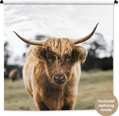 Produktbild von MuchoWow® Wandteppich Wandbehang Schottisches Hochlandrind - Kuh - Gras - Tiere - Natur 120x120 cm Tapisserie Dekoration Wandtuch - Modern - Baumwollgewebe