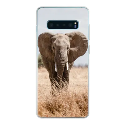 Produktbild von MuchoWow® Handyhülle Schutzhülle Hülle für Samsung Galaxy S10 Lite Elefant - Natur - Tiere - Porträt Silikon Softcase Handy Hülle - Schutz