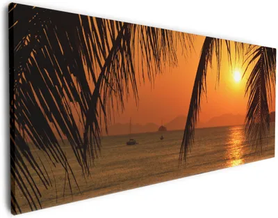 Produktbild von Wallario Premium Leinwandbild Sonnenuntergang unter Palmenblättern in Größe 50 x 125 cm