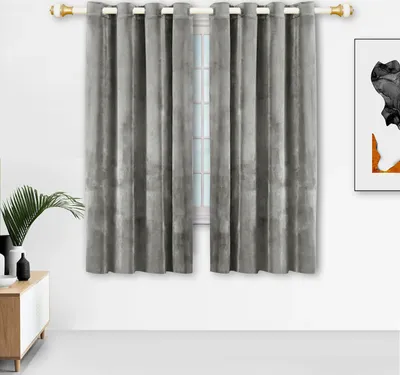 A room interior with a window covered by gray curtains, a plant on a cabinet, and a framed artwork on the wall.