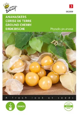 Productafbeelding van Andenbezie (Inkapflaume) | Andenbeziezaden van Buzzy Seeds