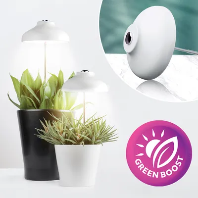 Produktbild von LED VERDI 5W Pflanzenlampe LED, Vollspektrum Pflanzenlicht für Zimmerpflanzen, Höhenverstellbares LED- Pflanzenwachstumslampe mit Zeitschaltuhr 8/1/16 Std mit USB-Laden, 3 Lichter Modi und 5 Helligk