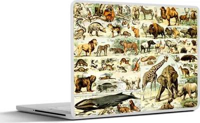 Produktbild von MuchoWow® Laptop Aufkleber Sticker Cover Tiere - Giraffe - Bär 32.5x23.5 cm - Sticker für Laptop - Selbstklebend
