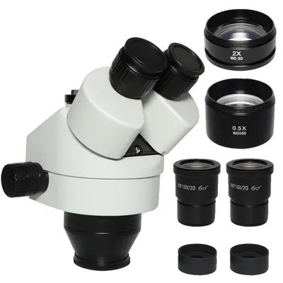 Image de Microscope trinoculaire, observation simulo-focale, lentille d'objectif supplémentaire, or