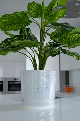 Produktbild von Kerd Dekor 16 Glanz Weiß Marmor Blumentopf Minimalistisch