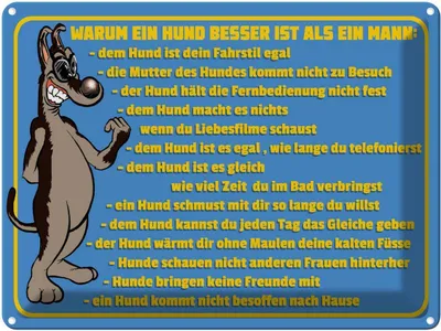 Produktbild von vianmo Blechschild 30x40 cm Warum Hund besser ist als Mann Spruch Zitat