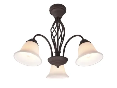 Image de Plafonnier RUSTICA cuivré Trio 601000324