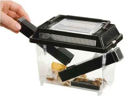 Obrázok produktu pre EXO TERRA Cricket Pen S Terárium na krmivo (18x14x11cm) Exo terra