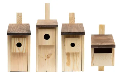 Produktbild von Woodygift Nistkasten Set Typ A A1 B P aus Holz für Amsel Meise Kleiber Spatz - Vogelhaus mit 1,5 cm Kiefernbrettern, verstärktem Einflugloch und klapp