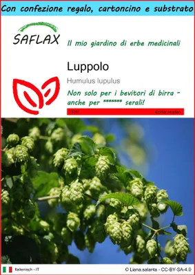 Immagine prodotto di SAFLAX Set regalo - Luppolo - 50 semi - Humulus