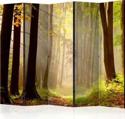 Produktbild von Akusticher Raumteiler Wald Foto Paravent 225x172 cm beidseitig auf Vlies-Leinwand bedruckt Akustikschaum Trennwand Spanische Wand Sichtschutz Home Office Bäume Natur Botanik Sonne c-C-0275-z-c