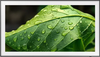 Produktbild von Samsung GQ32LS03CBU The Frame (2023), LCD-TV mit LED-Hintergrundbeleuchtung