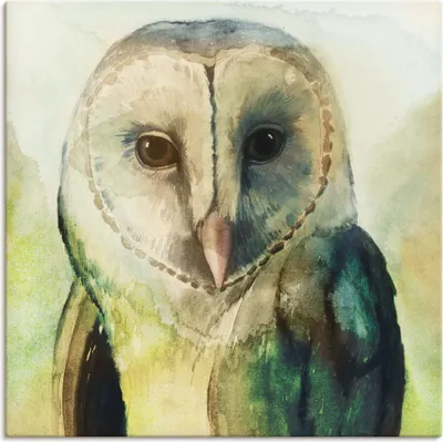 Produktbild von ARTland Leinwandbild Eule I Größe: 50x50 cm