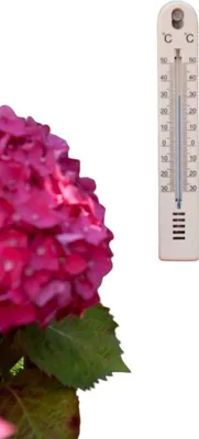 Produktbild von Warentuin Producten