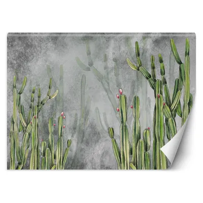 Produktbild von Kaktus Blumen Wüsten FOTOTAPETE 250x175 cm VLIES Tapete Wandtapete Wandbilder Wanddekoration Design Wohnzimmer Schlafzimmer Flur Büro Küche T-7-TF-17974-250x175