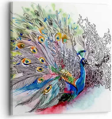 Produktbild von Bild auf Leinwand - Leinwandbild - Pfau Feder Farbe - 30x30cm - Wand Bild - Wanddeko - Wandbilder - Leinwanddruck - Bilder - Kunstdruck - Wanddekoration - Leinwand bilder - Wandkunst - AC30x30-3556