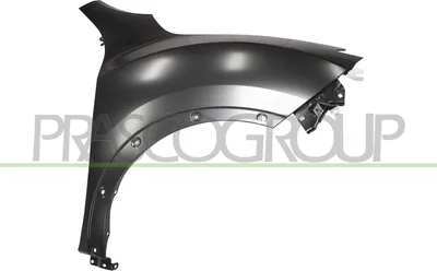 Produktbild von PRASCO DS7023033 Kotflügel Vorne Rechts für NISSAN JUKE (F15)