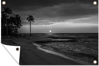 Produktbild von MuchoWow® 60x40 cm Outdoor-Poster Gartendeko Sichtschutz Garten Poster für den Garten  Hawaii - Strand - Schwarz - Weiß