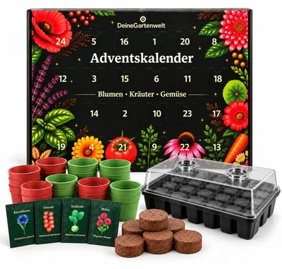 Produktbild von Saatgut Adventskalender 24 Bambustöpfe 24 Sorten mit Anzuchtset