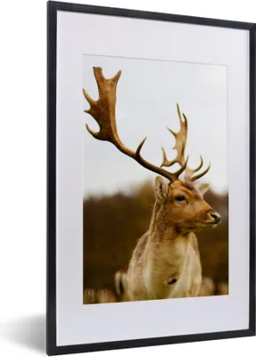 Produktbild von MuchoWow® Gerahmtes Poster Damhirsch - Wald - Herde - Tiere - Natur 40x60 cm - Poster mit Schwarzem Bilderrahmen Wandposter Rahmen Foto Bilder - Poster in Rahmen