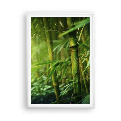 Produktbild von Gerahmtes Poster - Weißer Rahmen - Bambus Pflanze - 70x100 cm - Wand Bild - Wanddeko - Wandbilder - Kunstposter - Wandposter - Bilderrahmen - Bilder - Kunstdruck - Wandbild - P2WPA70x100-3558